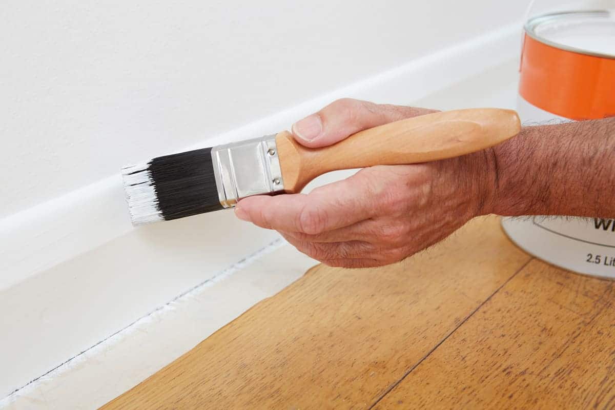 Selecting the right Paint Primer